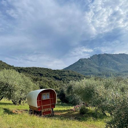 Le Camping De Cucugnan Hotel Exterior foto