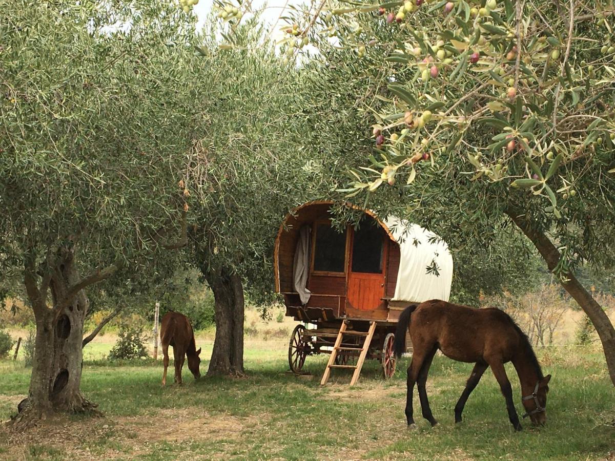 Le Camping De Cucugnan Hotel Exterior foto