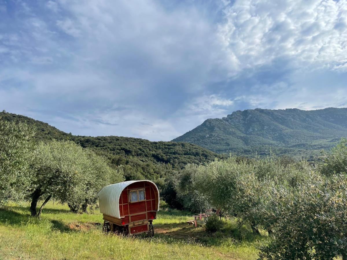 Le Camping De Cucugnan Hotel Exterior foto